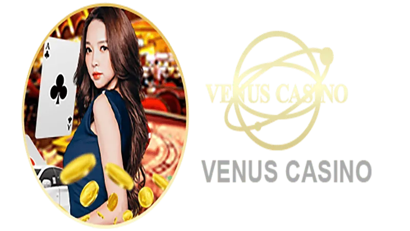 MOST BET Informações básicas sobre o saguão do cassino Venus